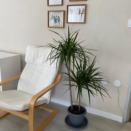 Apartament Aprilov Gabrowo